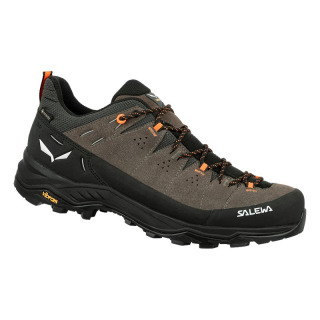 Salewa ALP TRAINER 2 GTX M