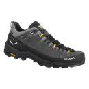 Salewa ALP TRAINER 2 GTX M