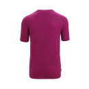 Icebreaker Men Tech Lite II SS Tee Icebreaker