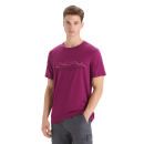 Icebreaker Men Tech Lite II SS Tee Icebreaker