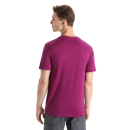 Icebreaker Men Tech Lite II SS Tee Icebreaker