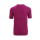 Icebreaker Men Tech Lite II SS Tee Icebreaker