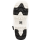 Nitro CLUB BOA BOOT
