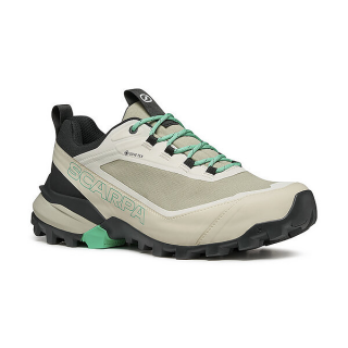 Ribelle Cross 2 GTX W