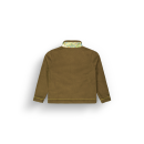 Picture ZELKOVA FZ FLC