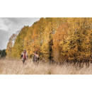 Fj&auml;llraven S&ouml;rmland Tapered Winter Trs W