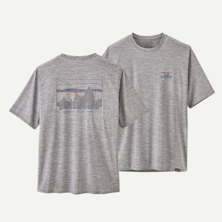 \'73 Skyline: Feather Grey